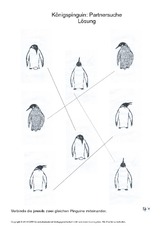 Pinguin partnersuche