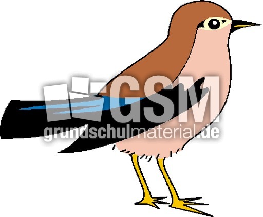 Vogel T Z Anlautbilder Deutsch Klasse 1 Grundschulmaterial De