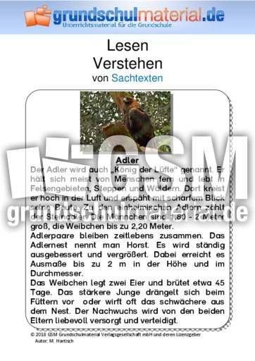 Adler - Sachtext - Sachtexte - Tiere - Sachtexte - Lesen ...