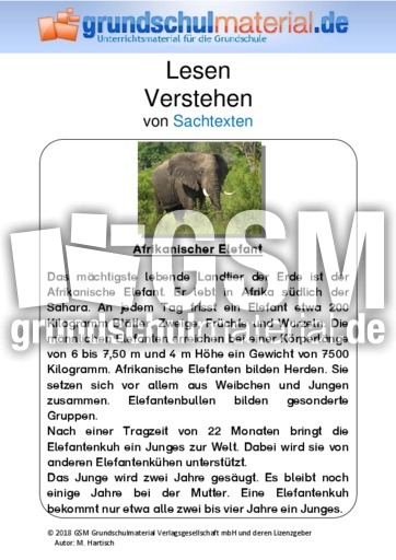 Afrikanischer Elefant - Sachtext - Sachtexte - Tiere ...