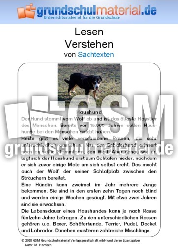 Haushund Sachtext Sachtexte Tiere Sachtexte Lesen Deutsch Klasse 3 Grundschulmaterial De
