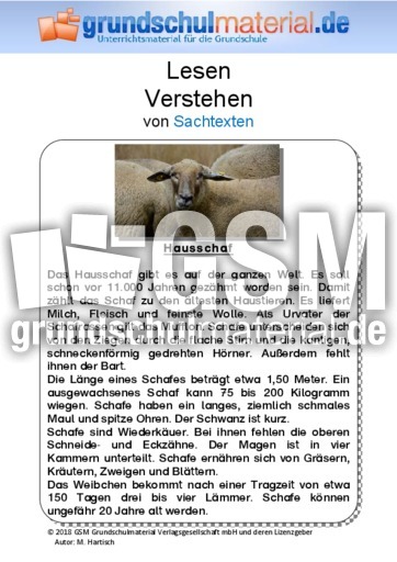 Hausschaf - Sachtext - Sachtexte - Tiere - Sachtexte ...