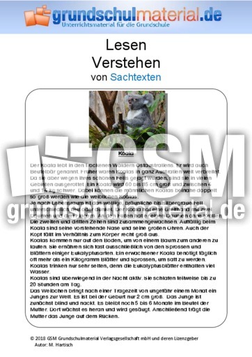 Koala - Sachtext - Sachtexte - Tiere - Sachtexte - Lesen - Deutsch Klasse 3 - Grundschulmaterial.de