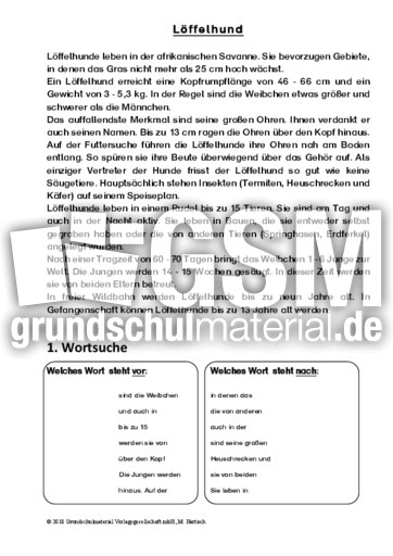 Löffelhund - Sachtext - Sachtexte - Tiere - Sachtexte - Lesen - Deutsch Klasse 3 ...