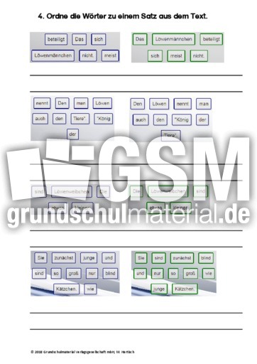 Löwe - Sachtext - Sachtexte - Tiere - Sachtexte - Lesen - Deutsch Klasse 3 - Grundschulmaterial.de