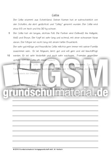 Sachtexte Zu 21 Hundearten Sachtexte Tiere Sachtexte Lesen Deutsch Klasse 3 Grundschulmaterial De