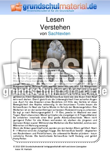Schnee-Eule - Sachtext - Sachtexte - Tiere - Sachtexte - Lesen - Deutsch Klasse 3 ...