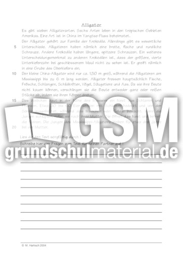 Tierbeschreibung grundschule