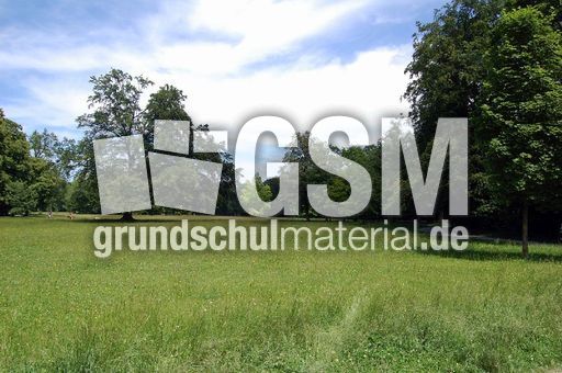 Englischer_Garten_1.JPG