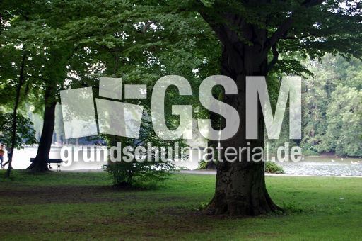 Englischer_Garten_11.JPG