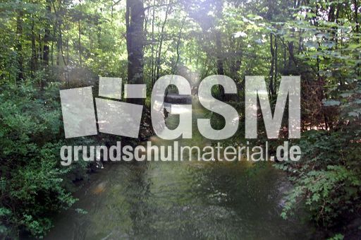 Englischer_Garten_2.JPG