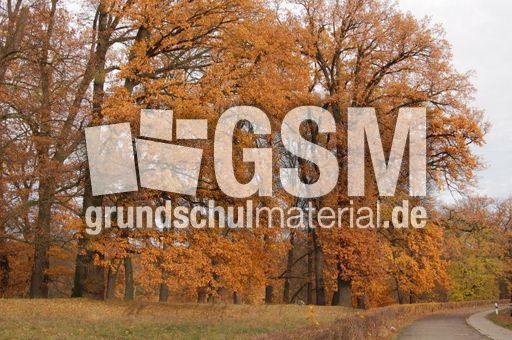 Schloss-Glienicke_05.jpg