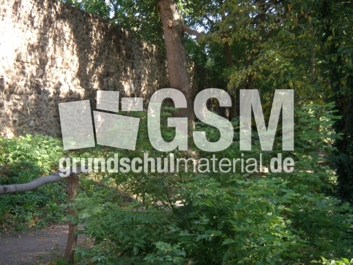 Altlandsberg_028.jpg