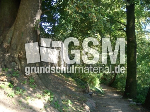 Altlandsberg_033.jpg
