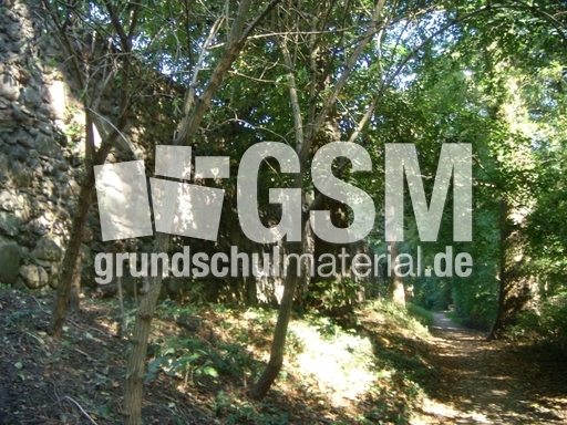 Altlandsberg_035.jpg