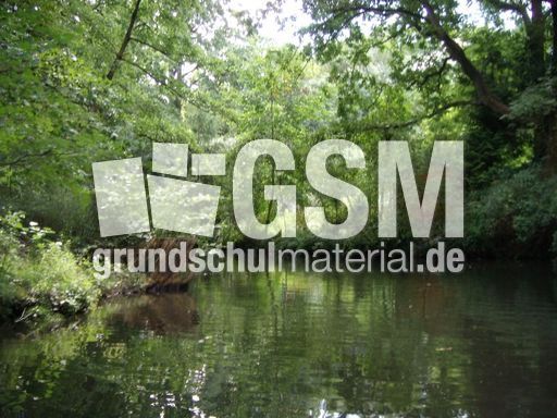 Spreewald-Luebben_17.jpg