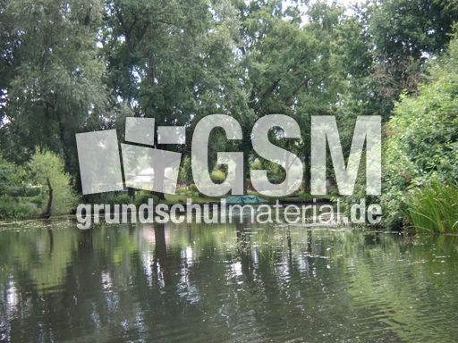 Spreewald-Luebben_31.jpg