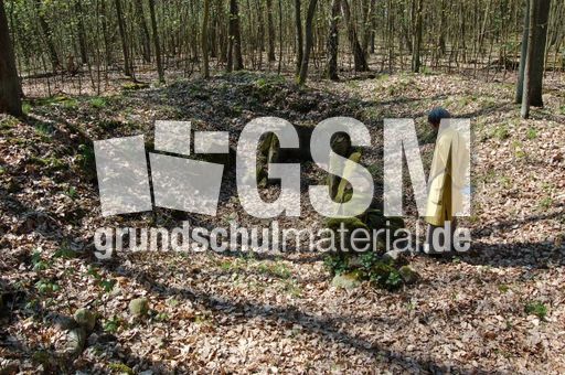 Steinkistengrab_003.JPG