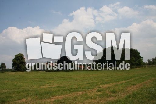 Münsterland-187.jpg