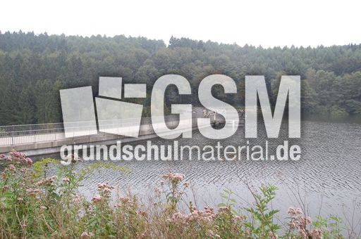 Glörtalösperre1.jpg