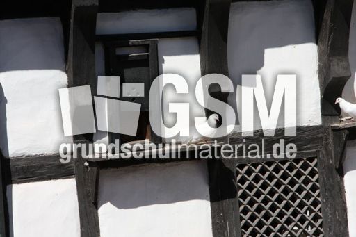 Taubenhaus_2912.jpg