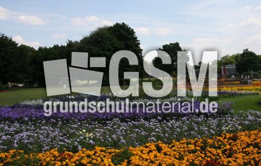 Großes-Blumenbeet_2577.jpg
