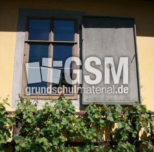 Goethehaus_3143.jpg