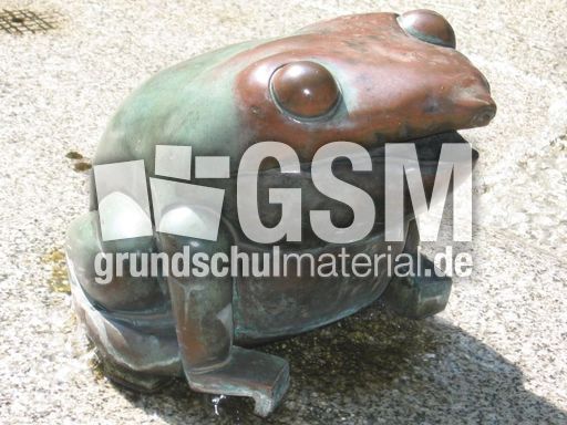 Frosch2.JPG