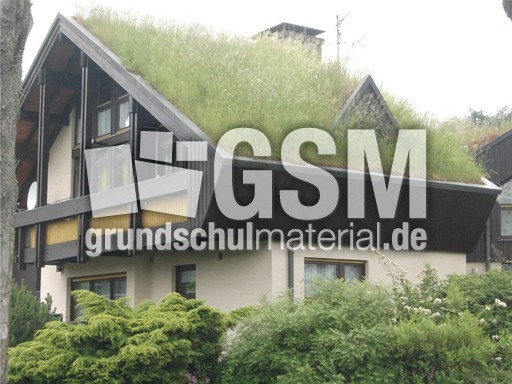 Grasdach.jpg