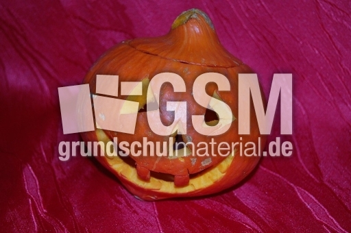 Halloween-Kürbis.jpg
