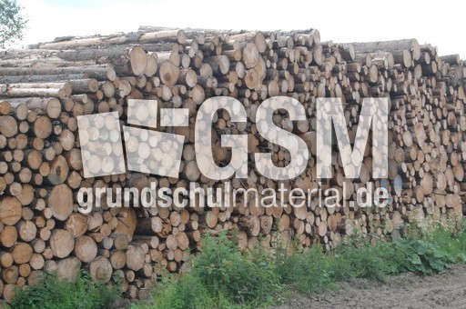 Holzstoß.JPG