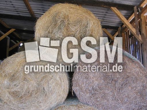 Strohballen.JPG