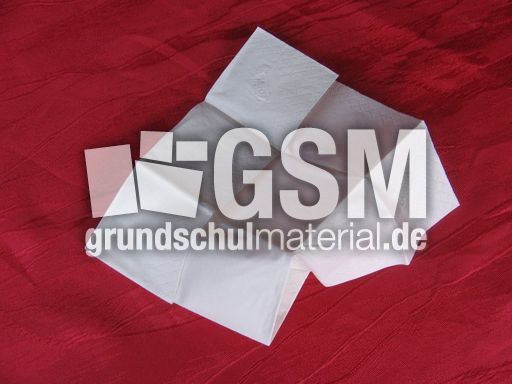 Papiertaschentuch.JPG