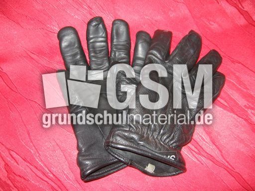 Handschuhe2.JPG