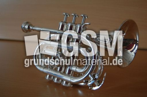 Taschentrompete_2.JPG