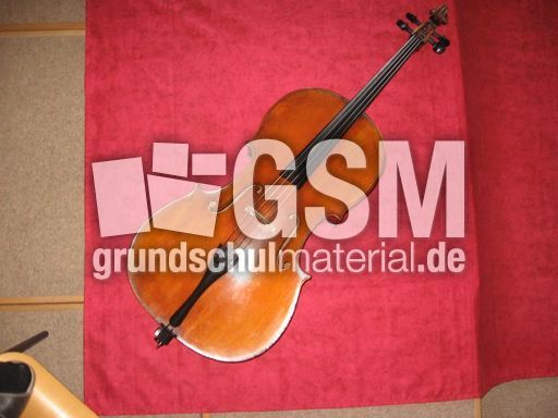 Violoncello.JPG