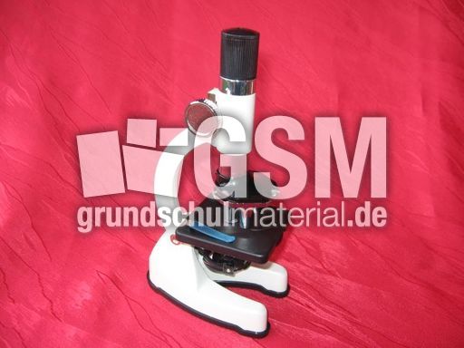 Mikroskop.JPG