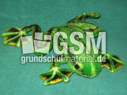 Frosch.JPG