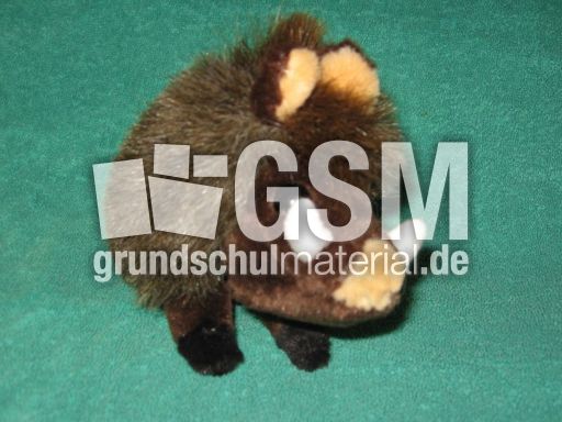 Wildschwein.JPG