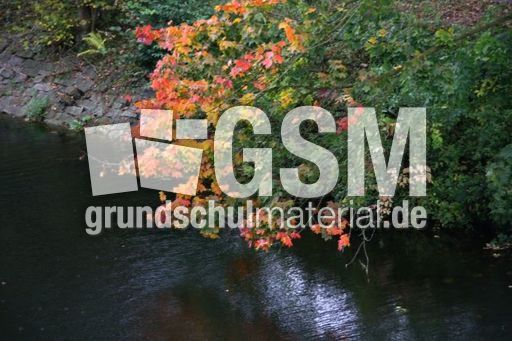 Herbstlaub_0014.JPG
