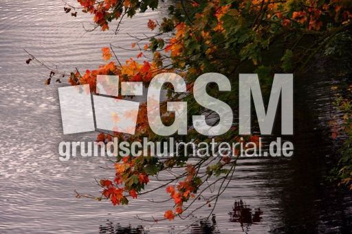 Herbststimmung_0020.JPG