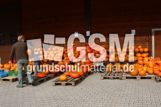 Kürbisverkauf-094.jpg