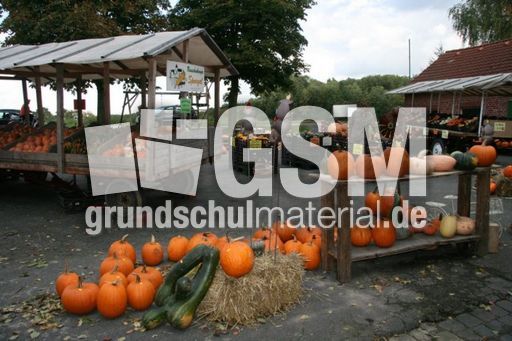Kürbisverkauf_5840.JPG