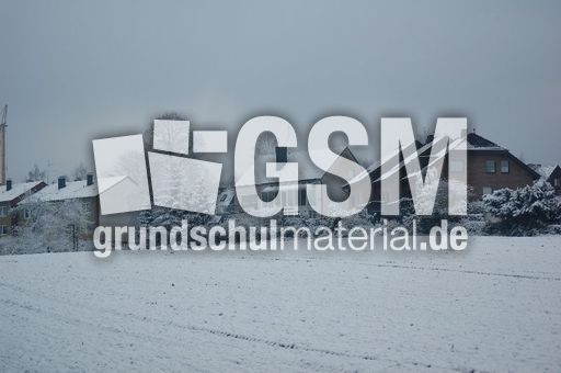 Winter_02.jpg