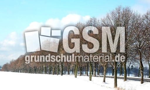 Winter_08.jpg