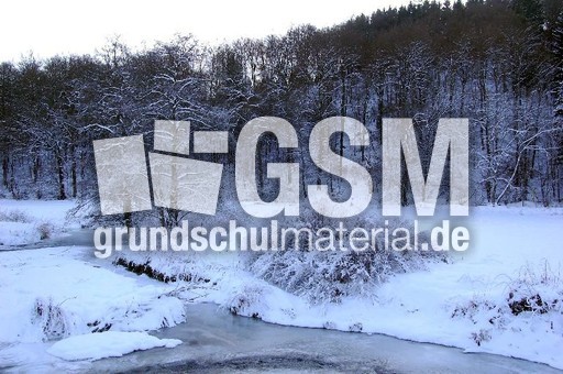 Winter_16.jpg