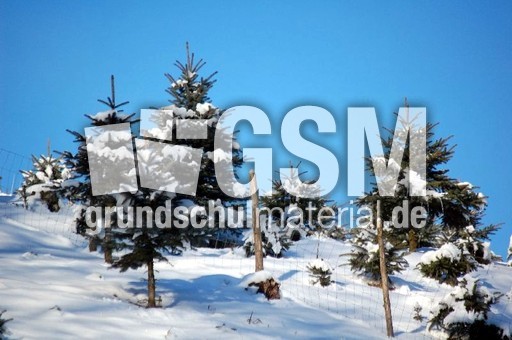 Winter_23.jpg