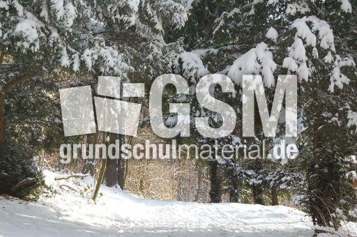Winter_28.JPG