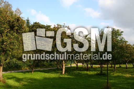 Apfelbaumwiese-209.jpg