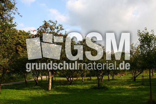 Apfelbaumwiese-211.jpg